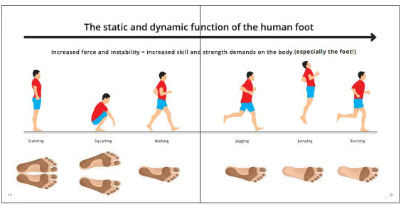 运动鞋，不都是健身鞋(图2)