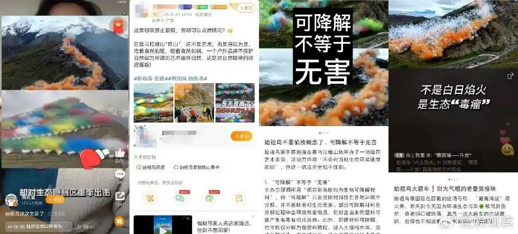 成为“网红” 是始祖鸟犯的错(图4)