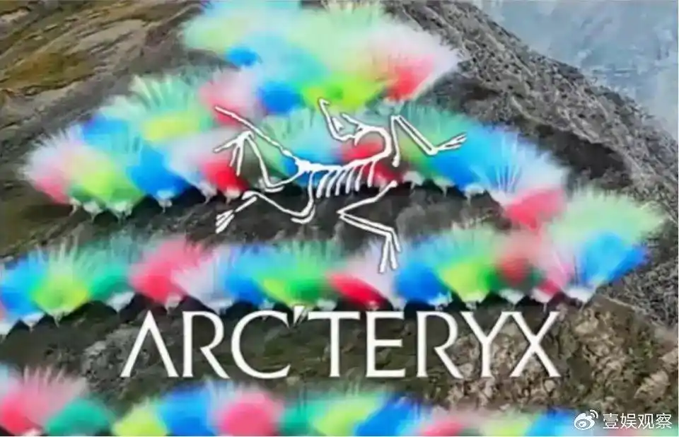 成为“网红” 是始祖鸟犯的错(图2)