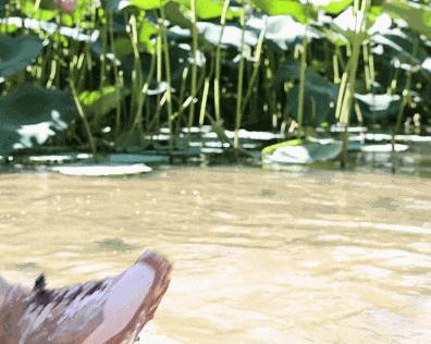 下暴雨出门应该穿什么鞋？首先排除洞洞鞋！(图32)