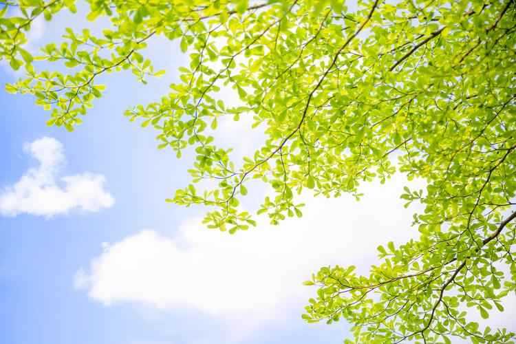 性价比最高的品牌童鞋揭秘，2025年推荐榜单